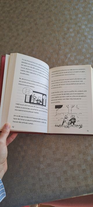 Diari del Greg 1. Un pringat total: Una novel·la bastant il·lustrada