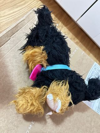 Perro rescue rescatado peluche