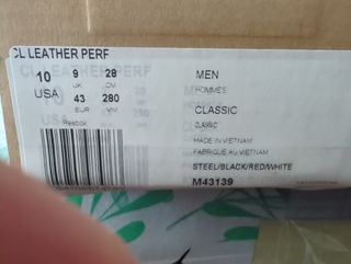 Zapatillas 