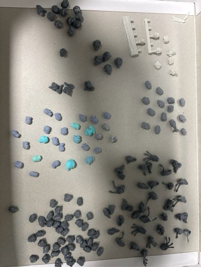 Bits Lobos Espaciales