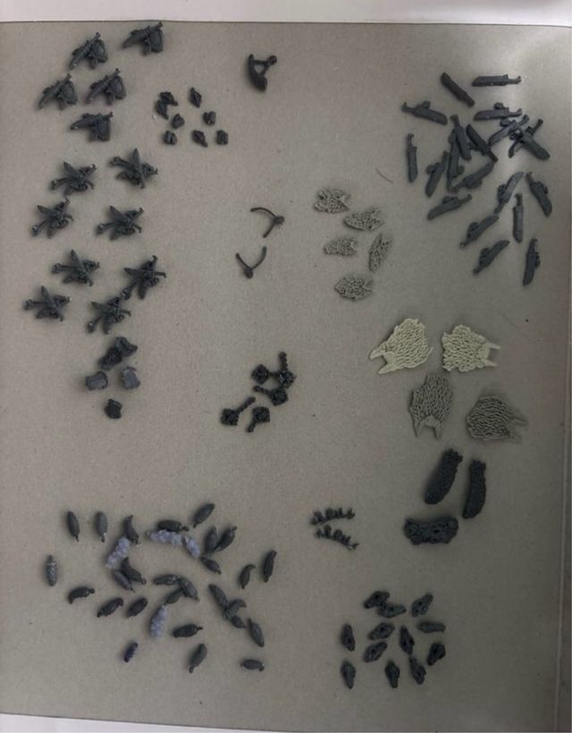 Bits Lobos Espaciales