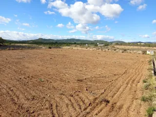 Parcela rustica regadio.