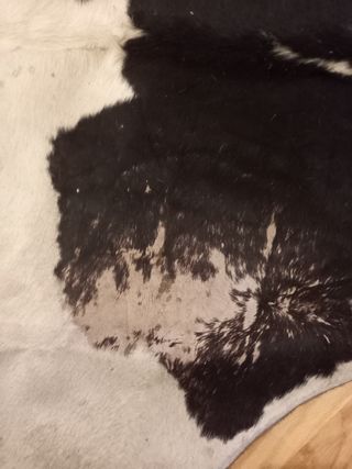 Piel de vaca Argentina, alfonbra