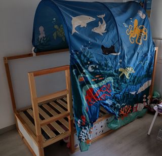 Carpa Oceano