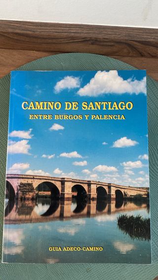 Libro camino de santiago