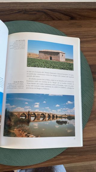 Libro camino de santiago