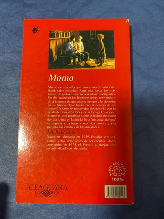Libro grande de Momo Spanish Language Edition