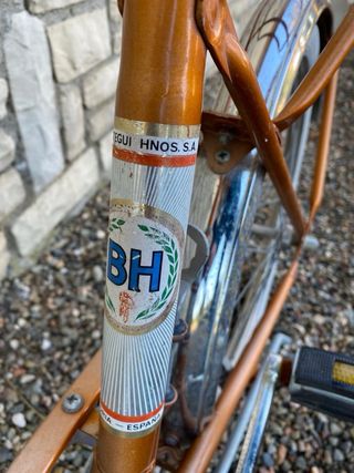 Bicicleta paseo