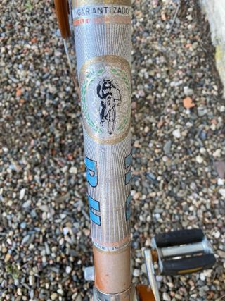 Bicicleta paseo