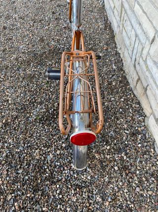 Bicicleta paseo