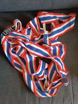 Set Guantoni boxe Leone