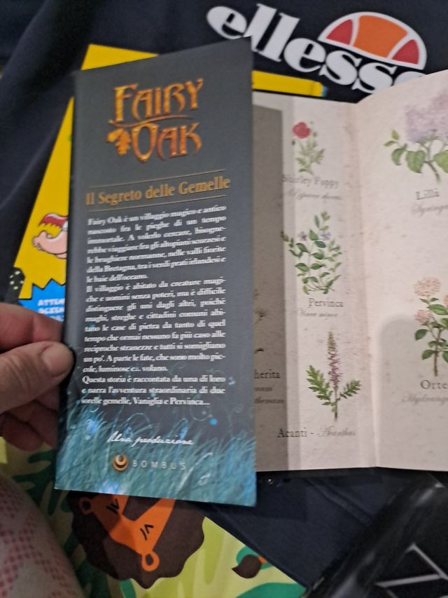 Il segreto delle gemelle. Fairy Oak