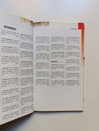 Retrato. Rostros y expresiones. Manuales Parramón.