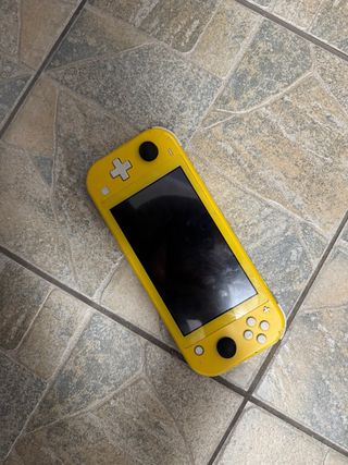 Nintendo switch lite 