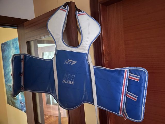 Peto Taekwondo Ikara