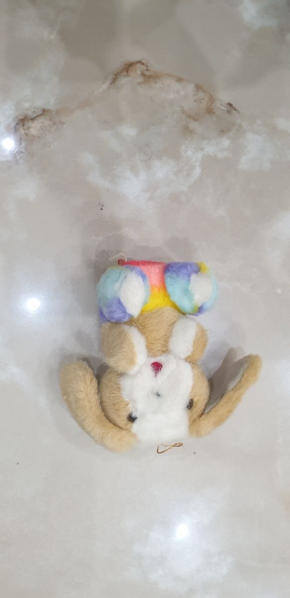 Coniglietto di peluche