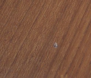 Mesa comedor danesa vintage Niels Otto Moller