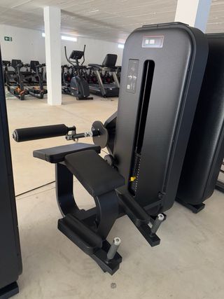 Femoral tumbado salter essence