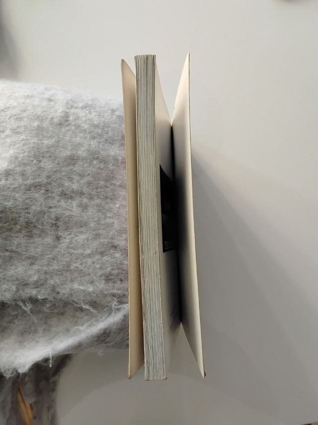 Libro Vasco anno 2003