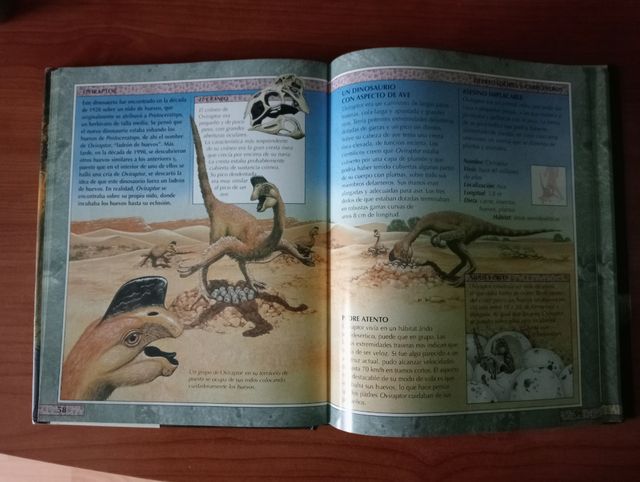 Libro dinosaurios