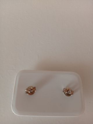 Pendientes osos plata
