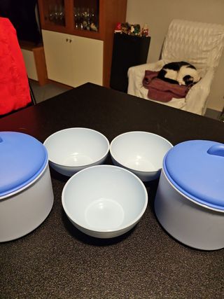 Set 3 ciotole e 2 contenitori 