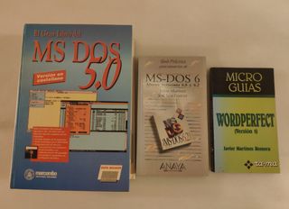 Lote libros informática 