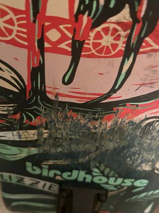 Skate marca birdhouse Precio no negociable.