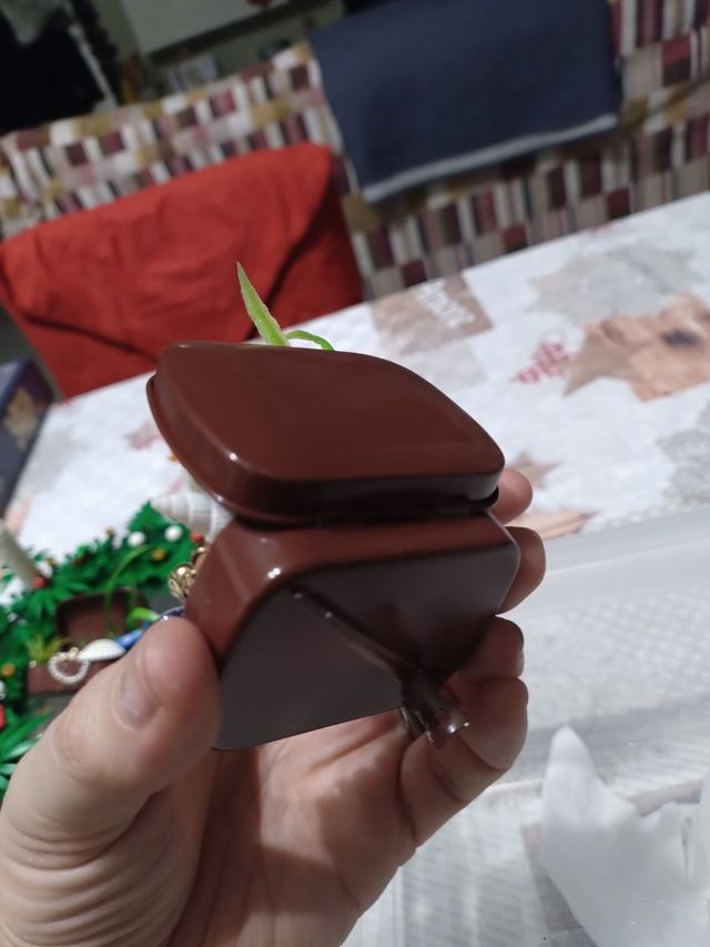 Decorazione natalizia