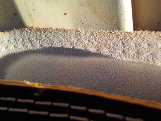 Cinturón de musculación ENERGETICS