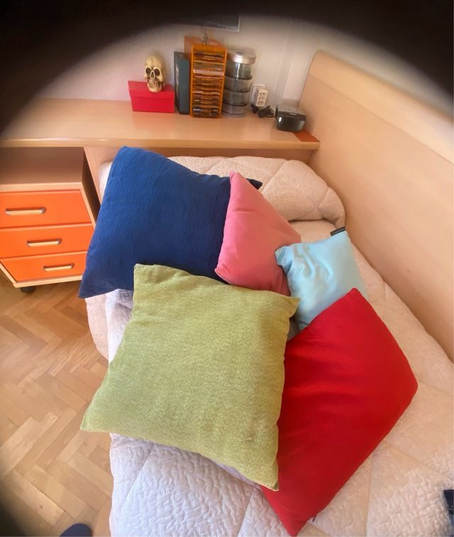 Lote 5 cojines variados. 