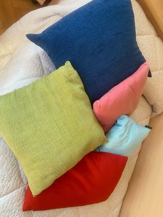 Lote 5 cojines variados.