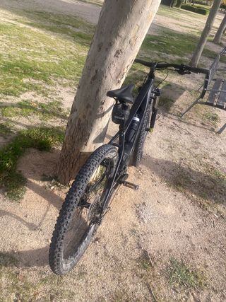 Bicicleta eléctrica de montaña Specialized