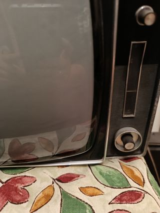 Televisión antigua Philips