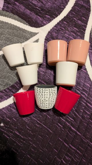 9 Macetas para suculentas