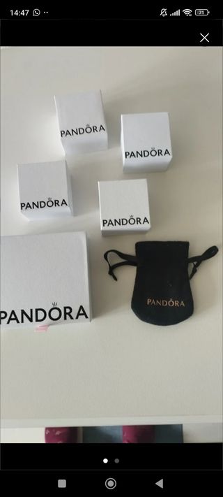 Embalaje Pandora 