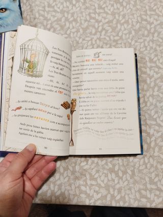 Libros de Gerónimo Stilton 