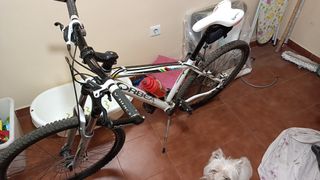 Bicicleta Orbea