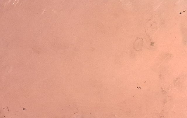 Oleo sobre bronce firmado Motivo Rural