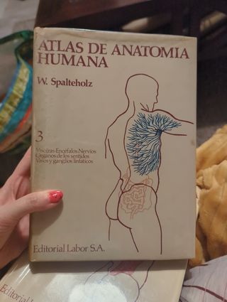 Atlas De Anatomia Humana 1+2+3