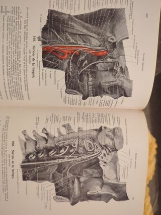 Atlas De Anatomia Humana 1+2+3