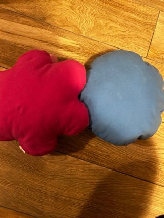 Due cuscini soggetti disney