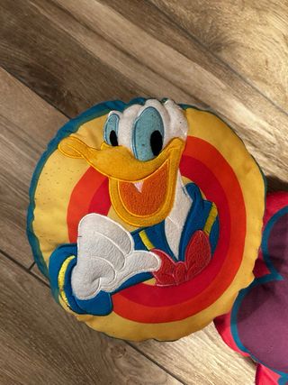 Due cuscini soggetti disney