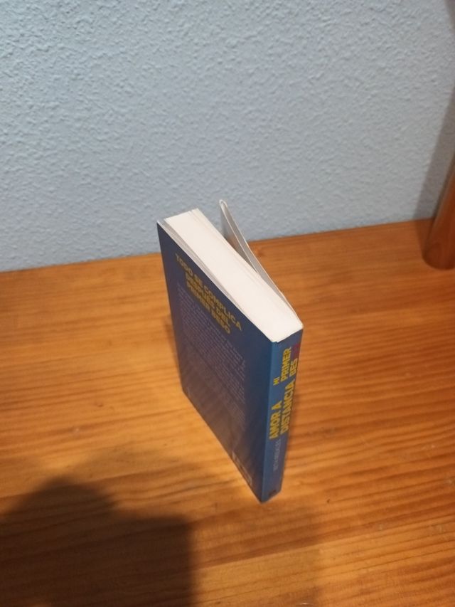 Mi primer beso 2. Amor a distancia