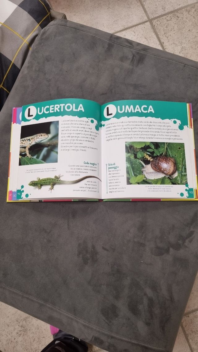 Il mio primo dizionario degli animali. Con adesivi