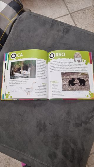 Il mio primo dizionario degli animali. Con adesivi