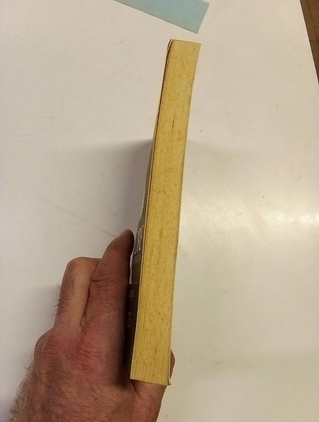 Il Padre San Pio Da Pietralcina Testimonianze Padr