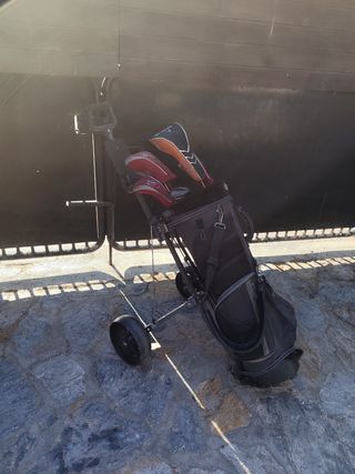 CARRO DE GOLF 