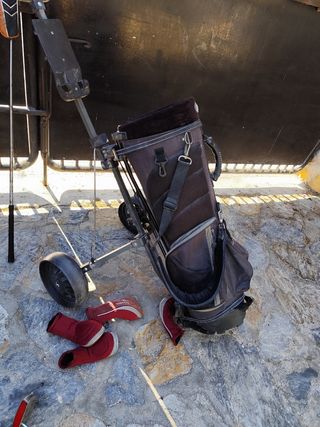 CARRO DE GOLF 