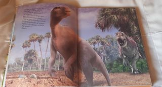 Libro de dinosaurios 